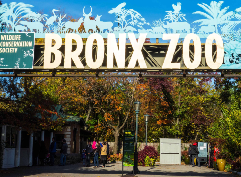 Bronx Zoo in Bronx, New York